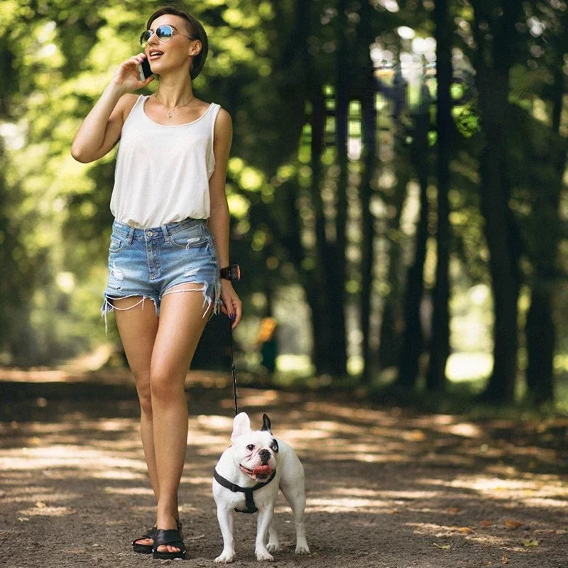 3M Retractable Dog Leash