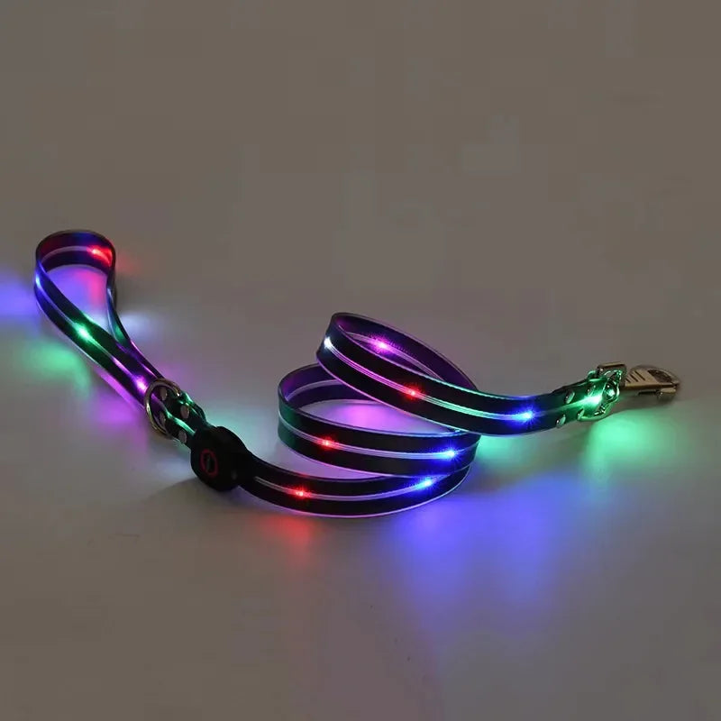 LED Light Up Dog Leash