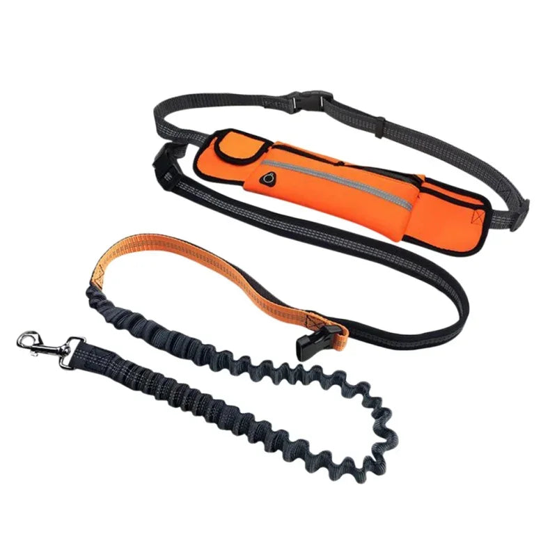 Hands Free Dog Leash with Pouch