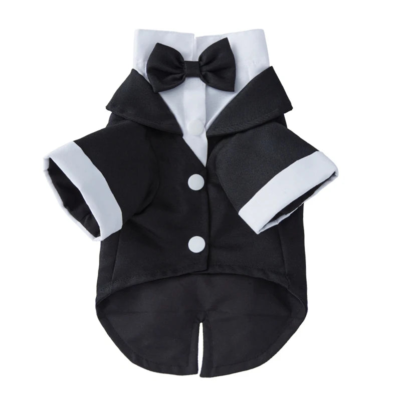 Formal Pet Wedding Party Suit
