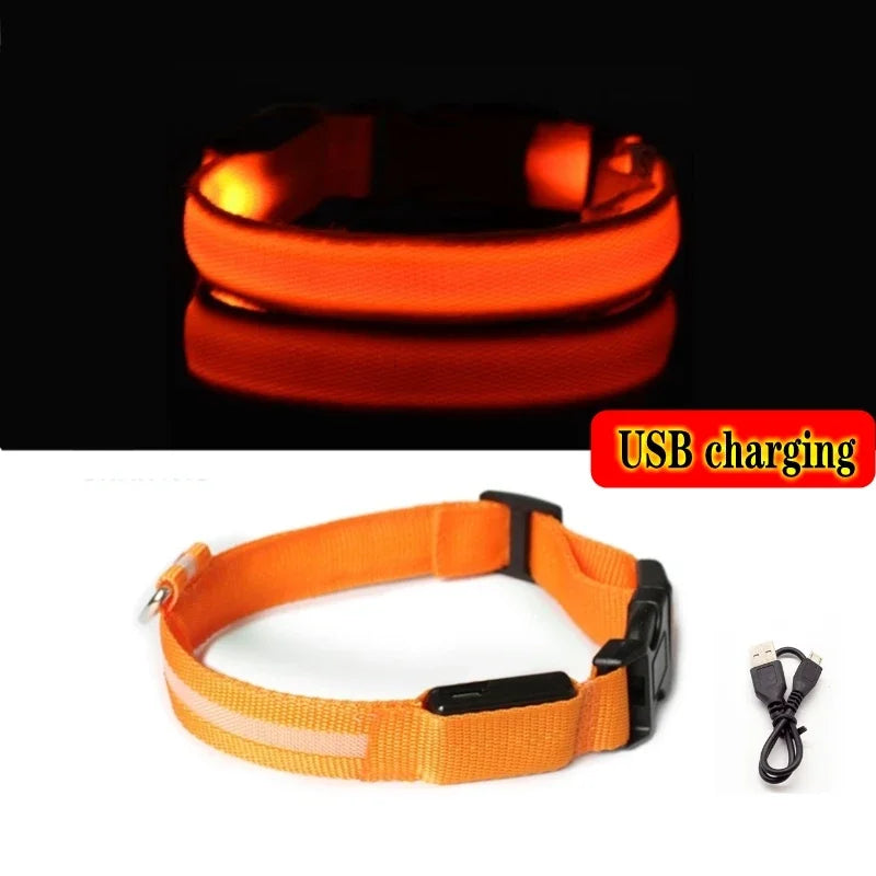 Night Visible LED Collar For Dogs