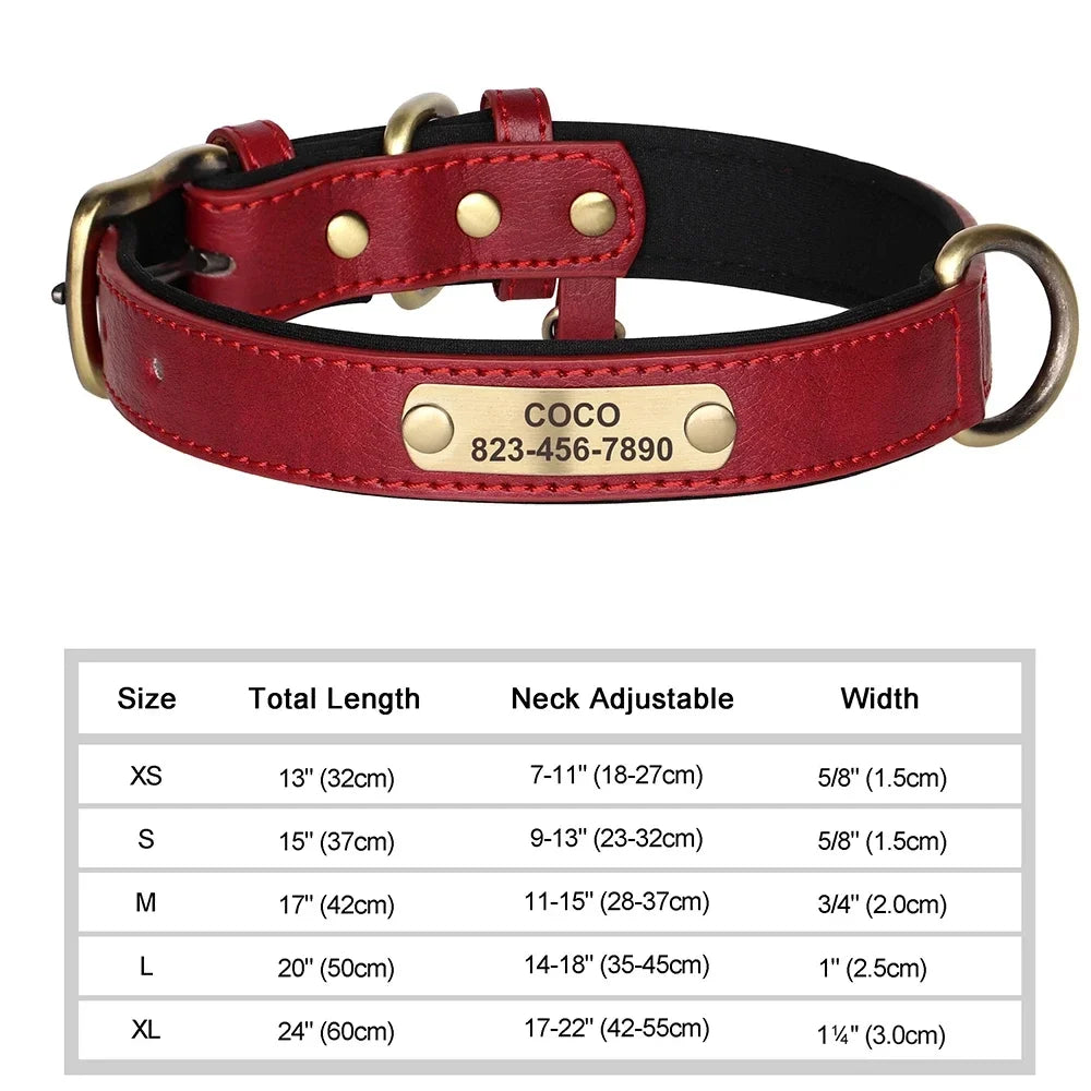 Customized ID Leather Dog Collar