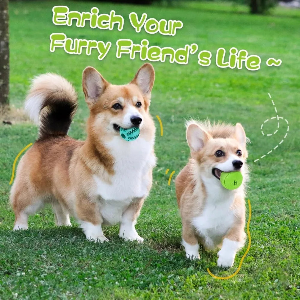 Dog Chew-Resistant Treat Ball