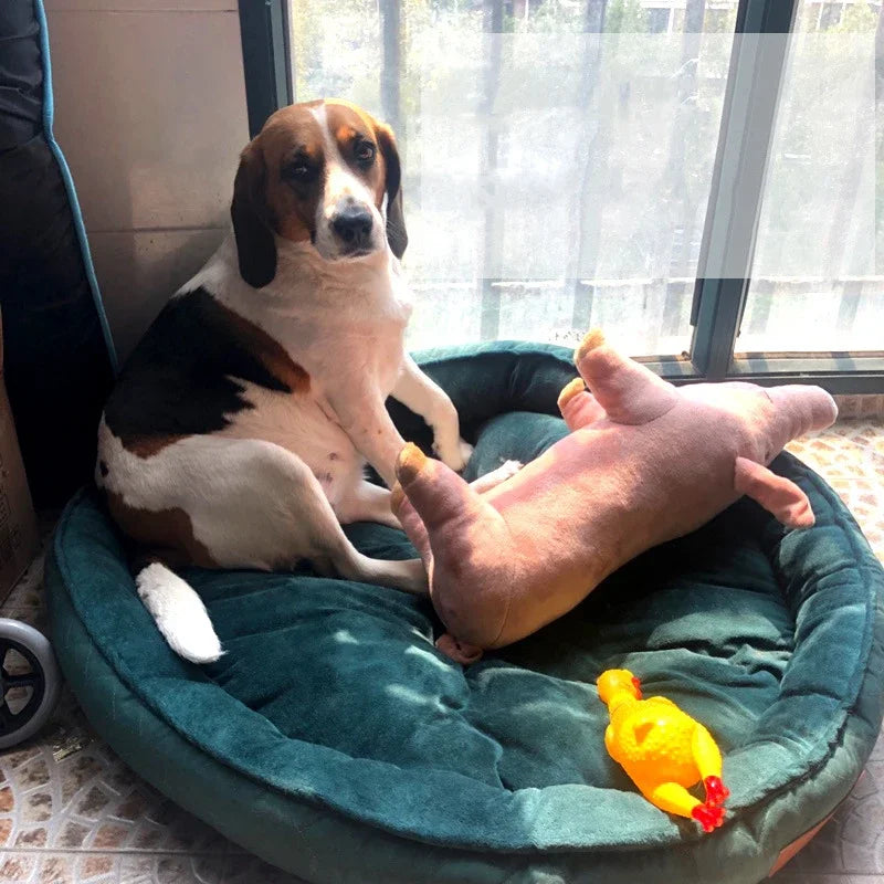 S Dog Bed Cama Perro Hondenmand Four-Season All-Purpose Removable And Washable Winter Pet Supplies лежанка для собак для собак