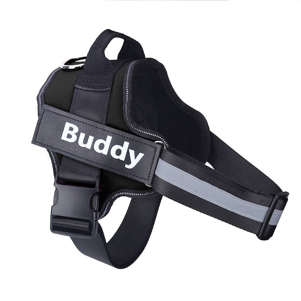 Lifetime Warranty Personalized NO PULL Harness