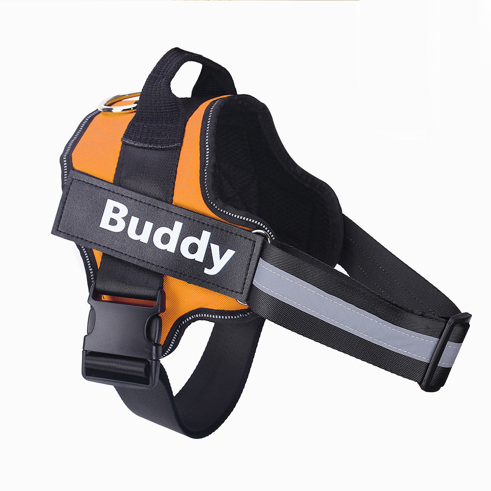 Lifetime Warranty Personalized NO PULL Harness