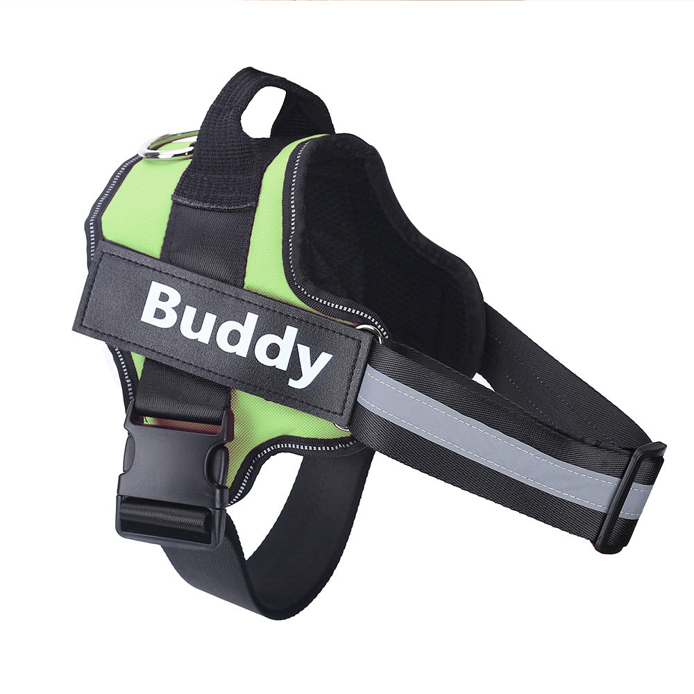 Lifetime Warranty Personalized NO PULL Harness