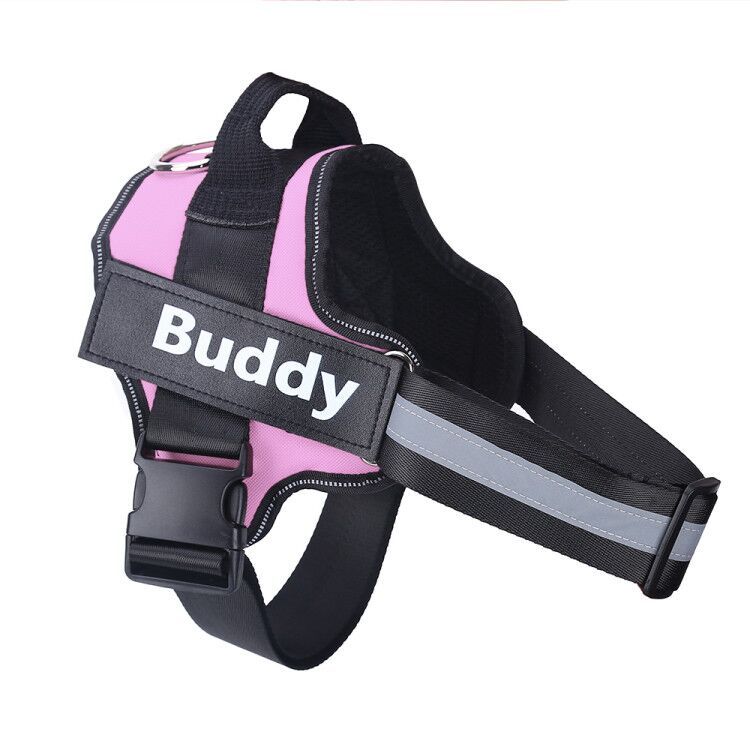 Lifetime Warranty Personalized NO PULL Harness