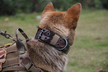 Heavy Duty Collar