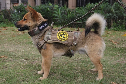 Heavy Duty Collar