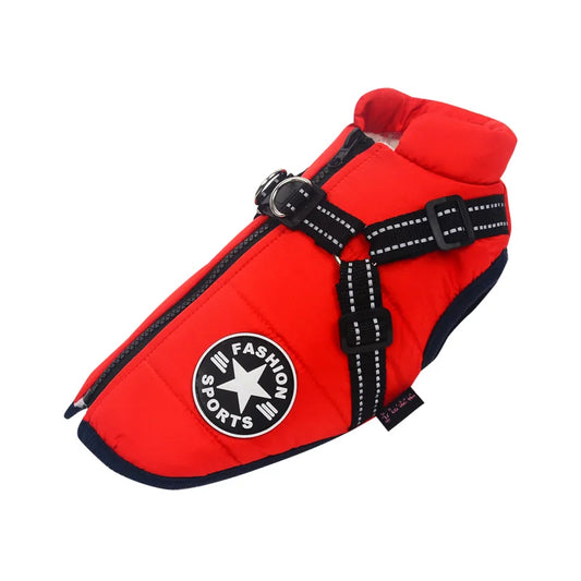 Dollar Doggy - Winter Harness