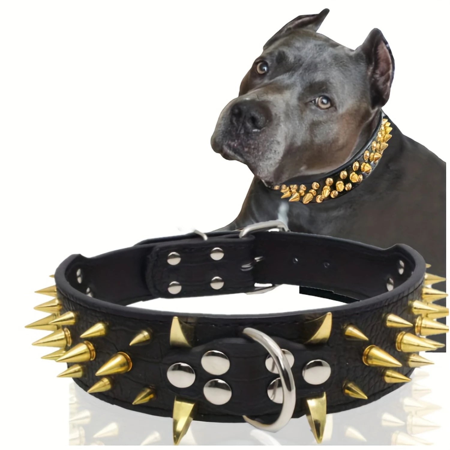 Golden Sharp Spikes Studded Dog Collar