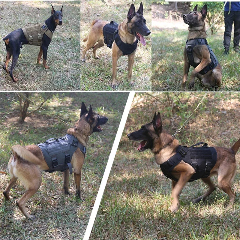 Tactical Training Dog Harness