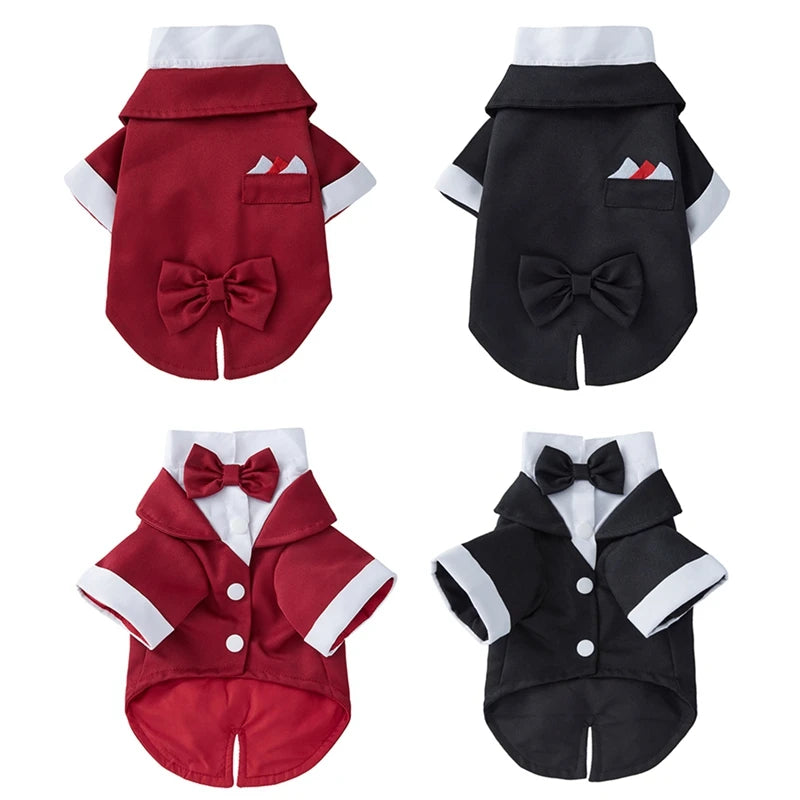 Formal Pet Wedding Party Suit