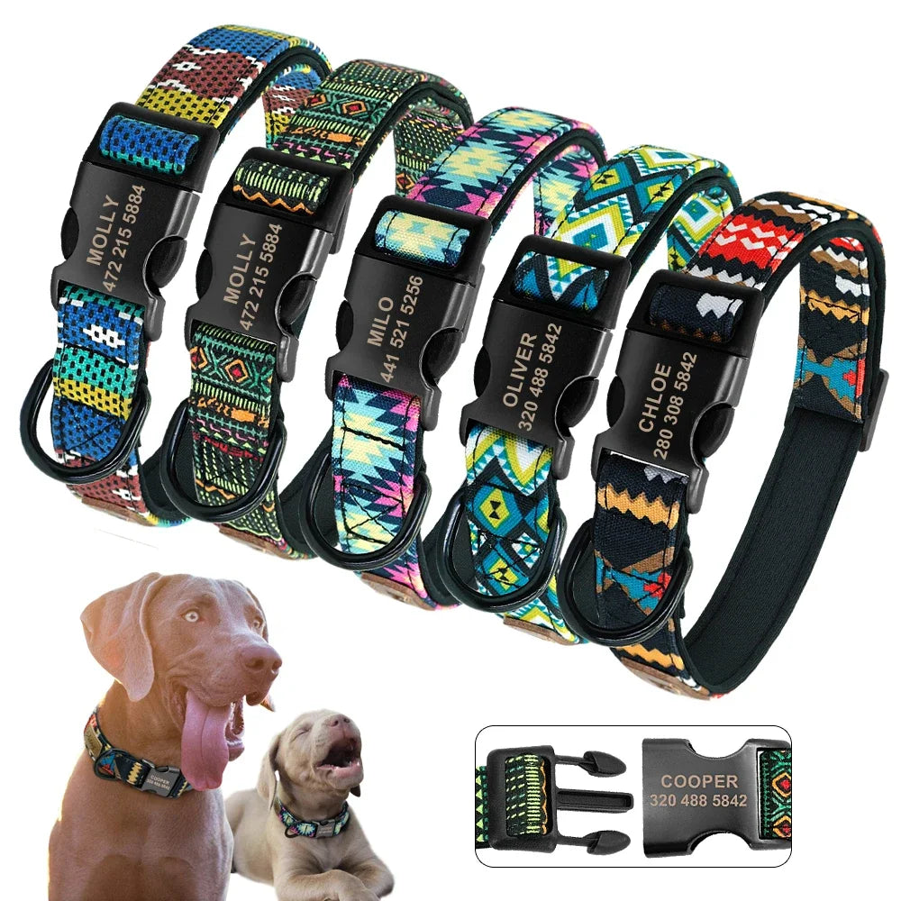 Personalized Dog Collar & Leash