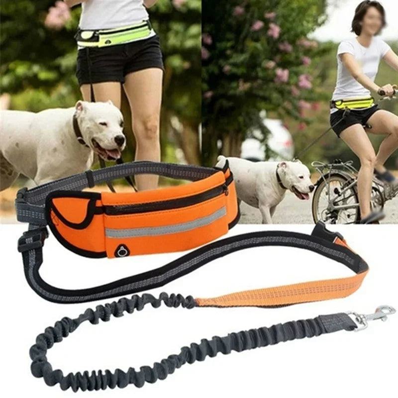 Hands Free Dog Leash with Pouch