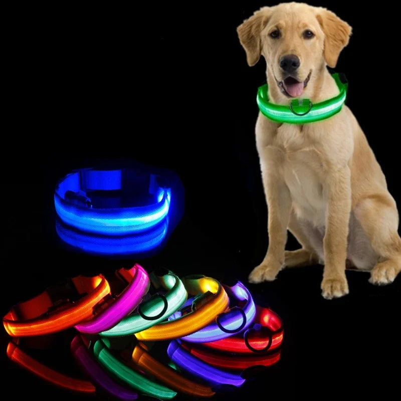 Night Visible LED Collar For Dogs