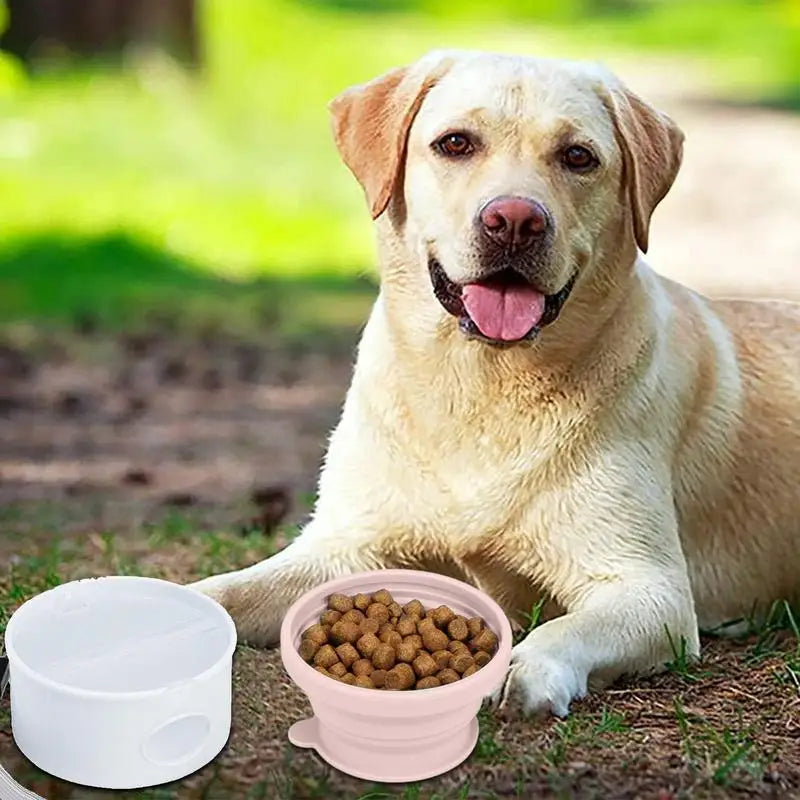 Dog Travel Folding Bowl