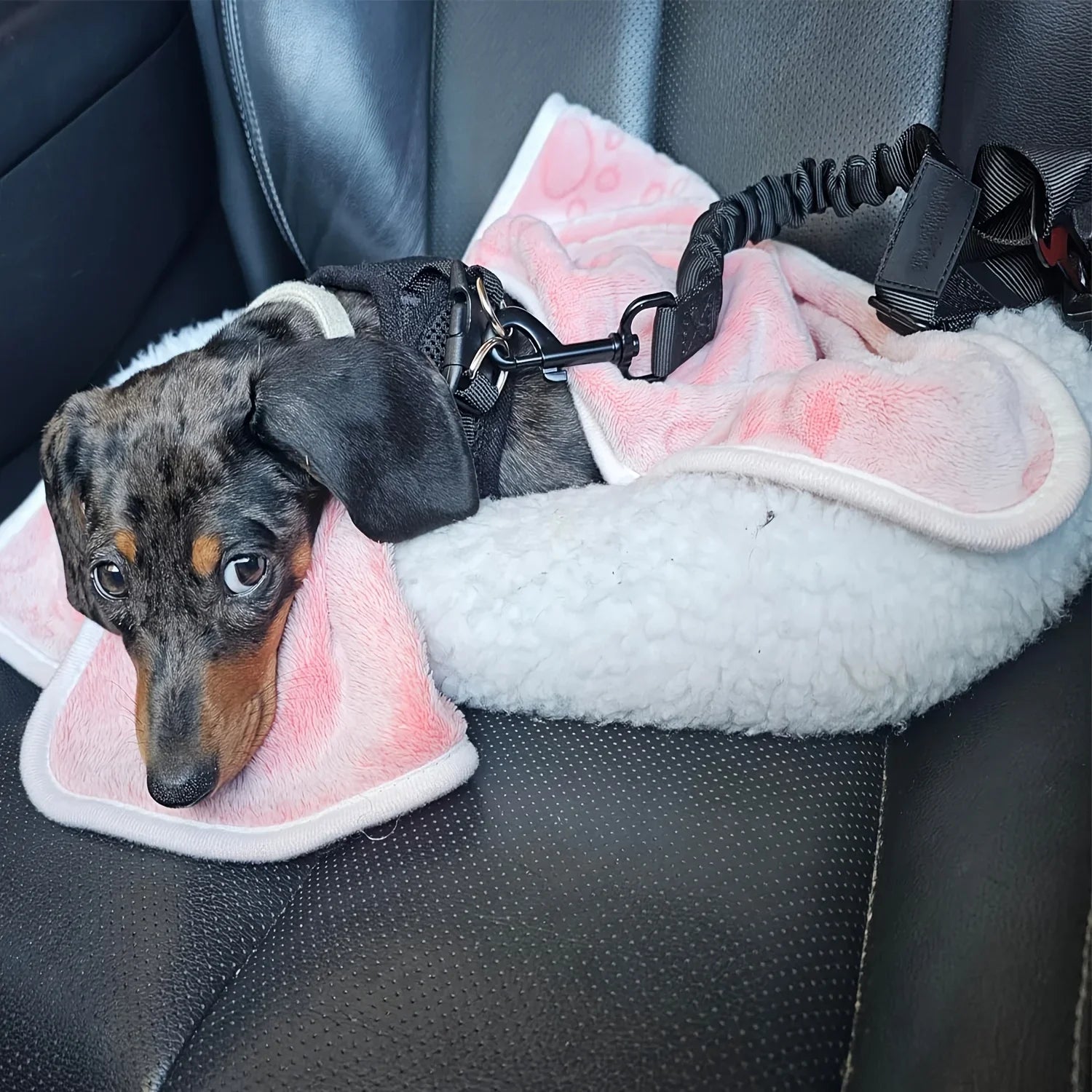 Dog Safety Seat Belt