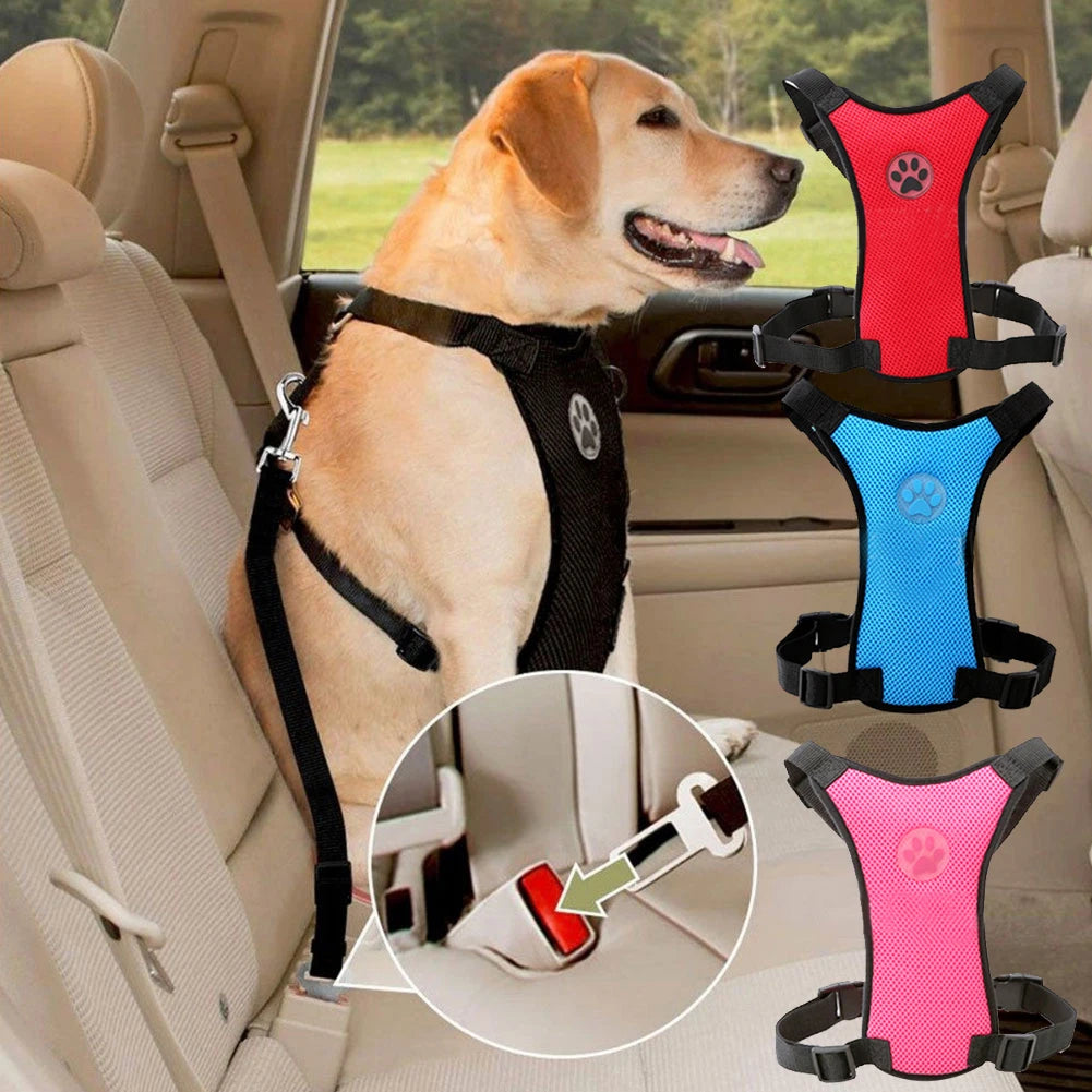 Dog Car Safety Seat Belt & Harness
