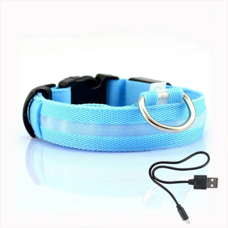 Night Visible LED Collar For Dogs