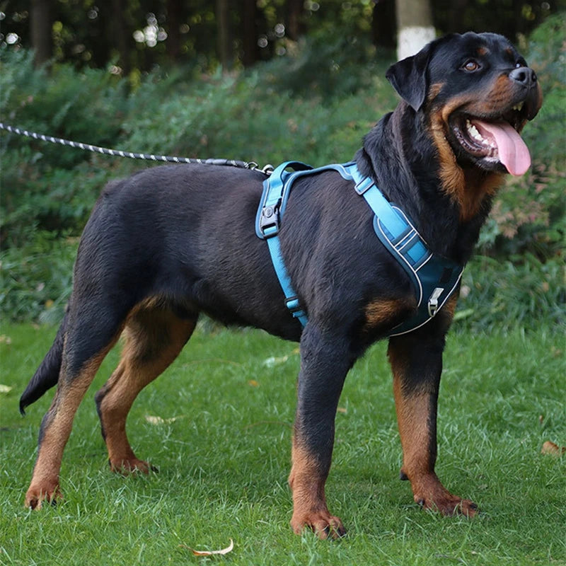 Reflective  Dog Harness