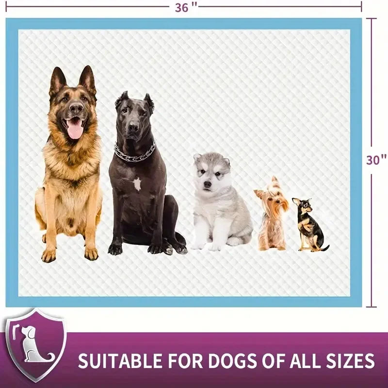Premium Disposable Dog Training Pads