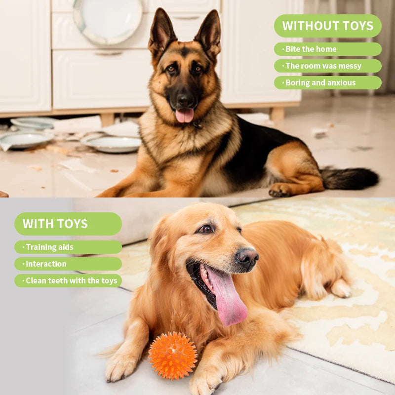 18 Dog Toy Pack