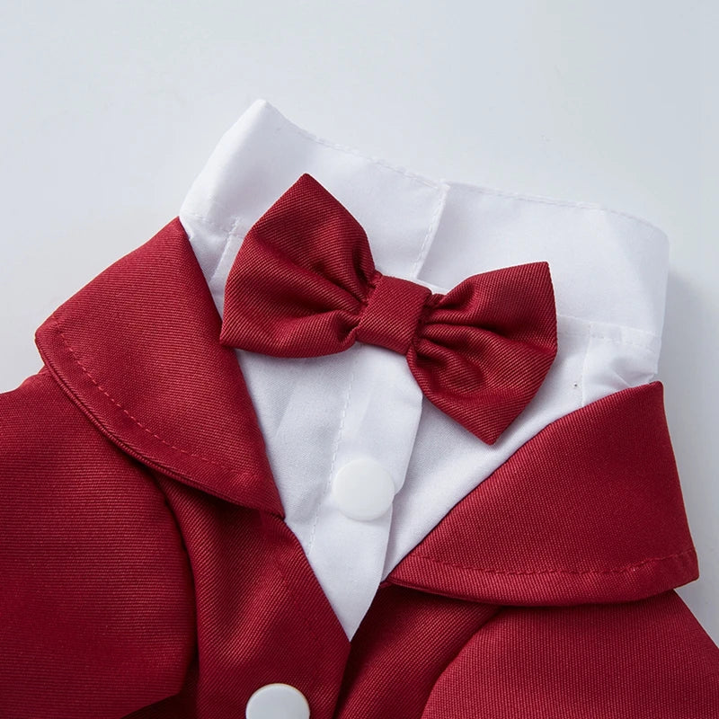 Formal Pet Wedding Party Suit