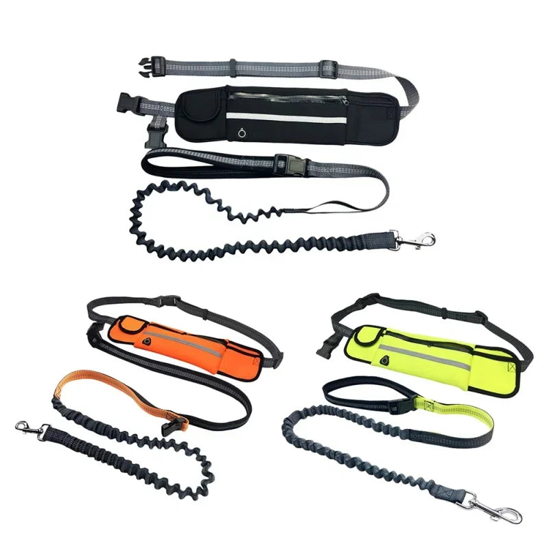 Hands Free Dog Leash with Pouch